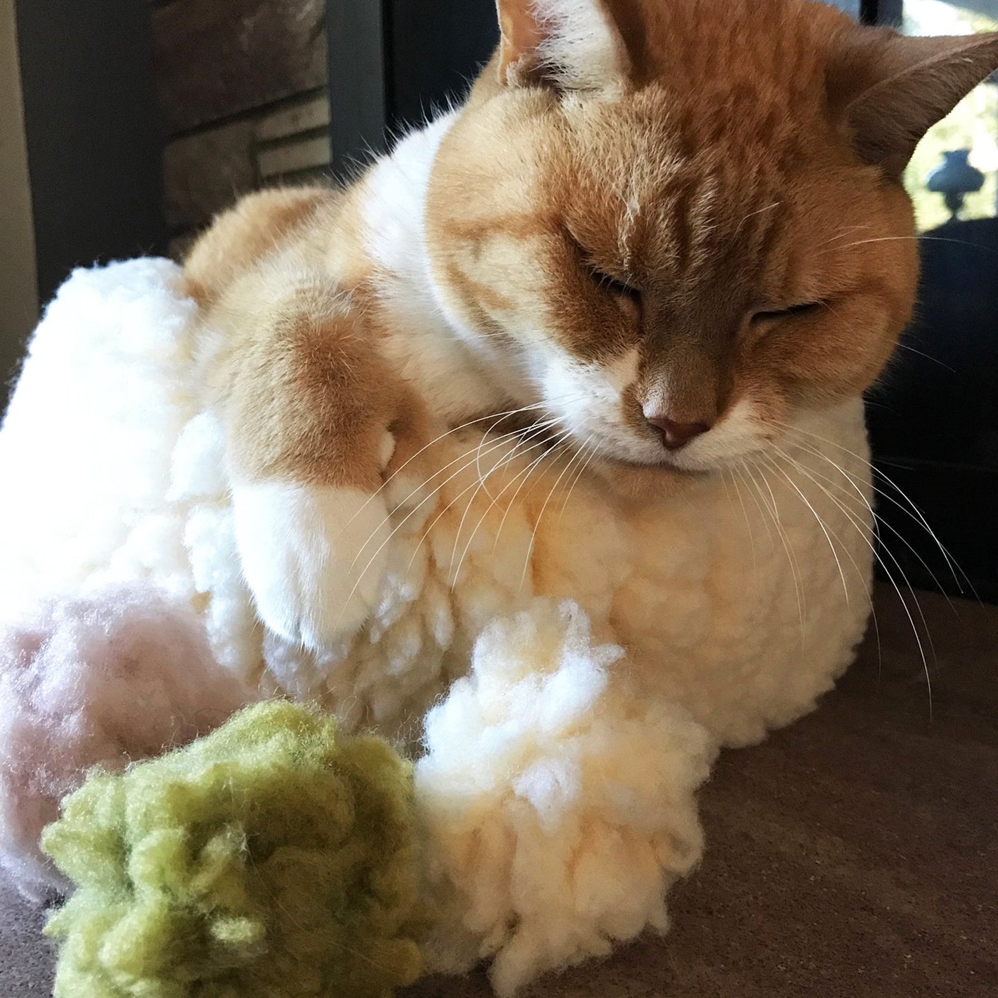 Ginger cat cuddling soft white, peach, and green Purrfect Pet Kingdom FlufferFleece plush sphere toys.