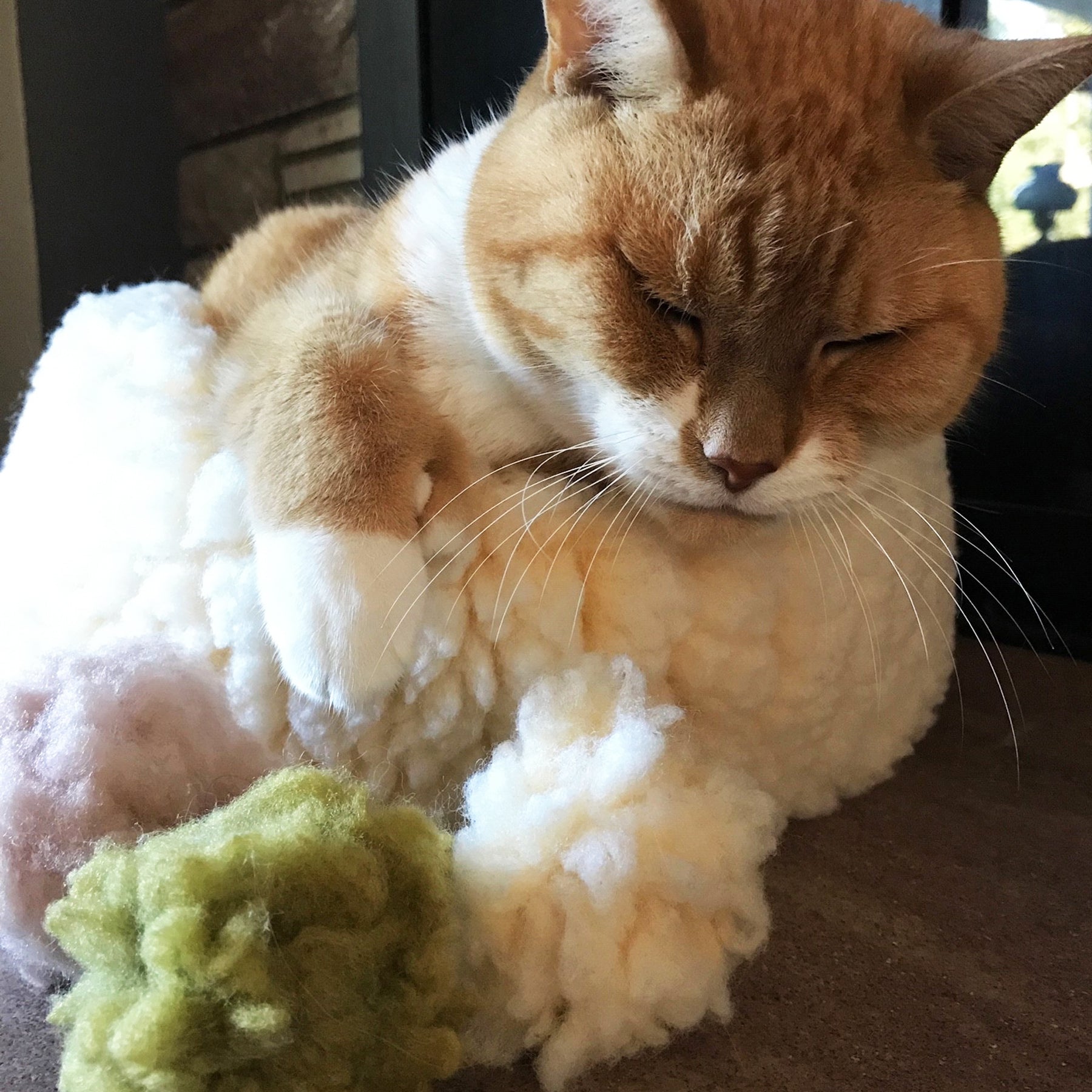 Ginger cat cuddling soft white, peach, and green Purrfect Pet Kingdom FlufferFleece plush sphere toys.