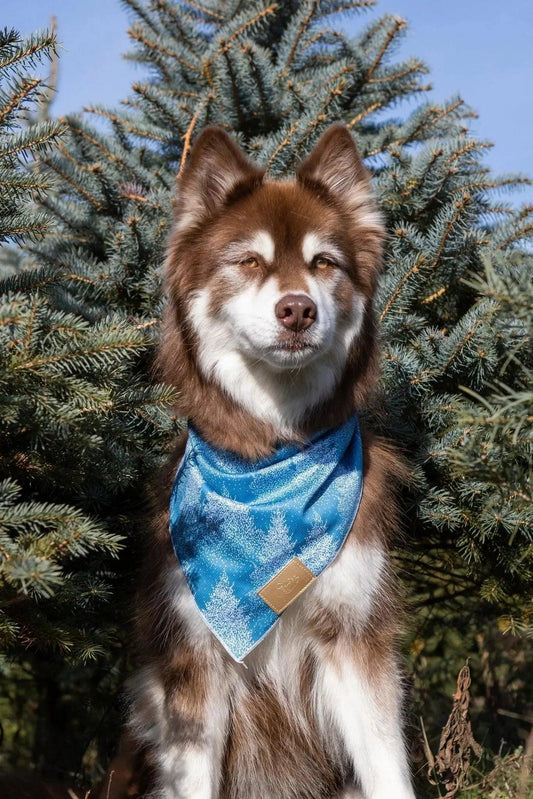 Siberian Spruce Dog Bandana - Purrfect Pet Kingdom