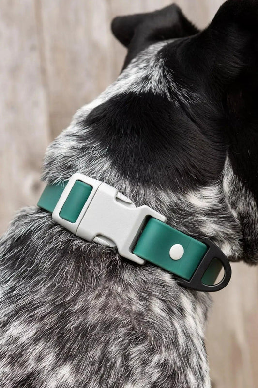 Siberian Spruce Waterproof Dog Collar - Dog Collar - Aria the Fox