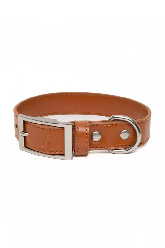 Sierra Sunrise Vegan Leather Dog Collar - Leather Dog Collar - Aria the Fox - Sequoia - 11 - 13 - VC24SI01