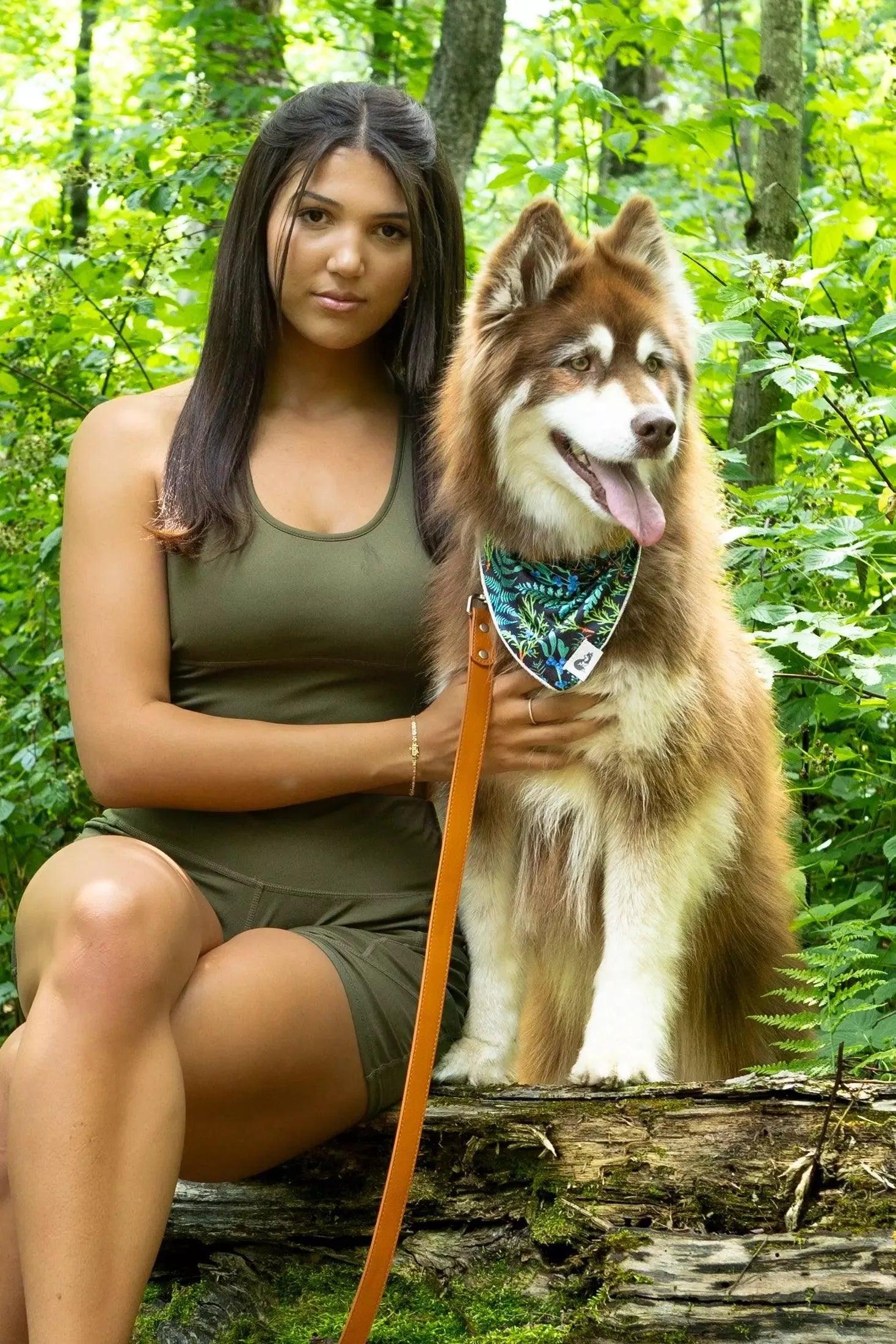 Sierra Sunrise Vegan Leather Dog Collar - Leather Dog Collar - Aria the Fox
