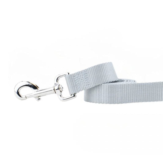 Silver Nylon Dog Leash