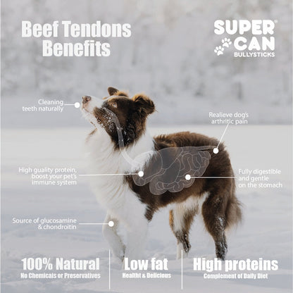 Junior Beef Tendon Dog Chews Small 10 Pack 🦴