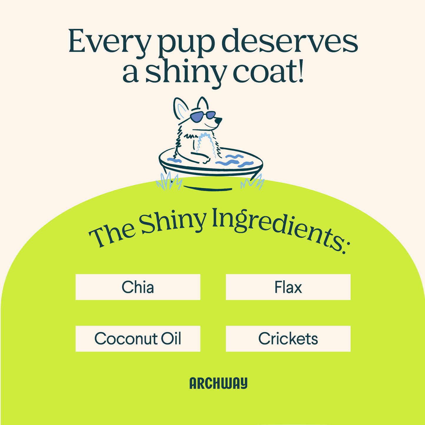 Skin & Coat Health - Dog Treats - Arch Pet Food