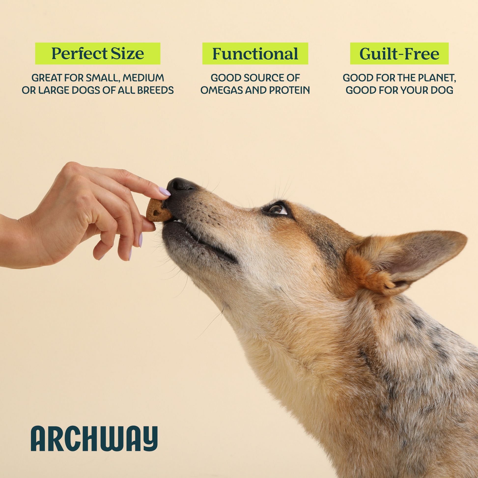 Skin & Coat Health - Dog Treats - Arch Pet Food