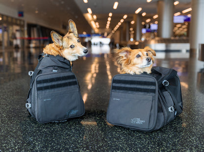 K9 Sport Sack Carrier Backpack for dogs featuring two dogs comfortably seated inside