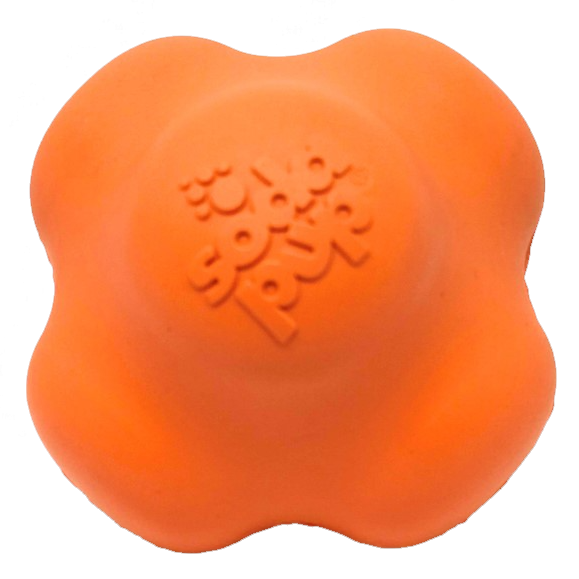 Crazy Bounce Rubber Dog Chew Toy for Power Chewers | Retrieving