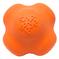 Crazy Bounce Ultra Durable Rubber Chew & Retrieving Toy