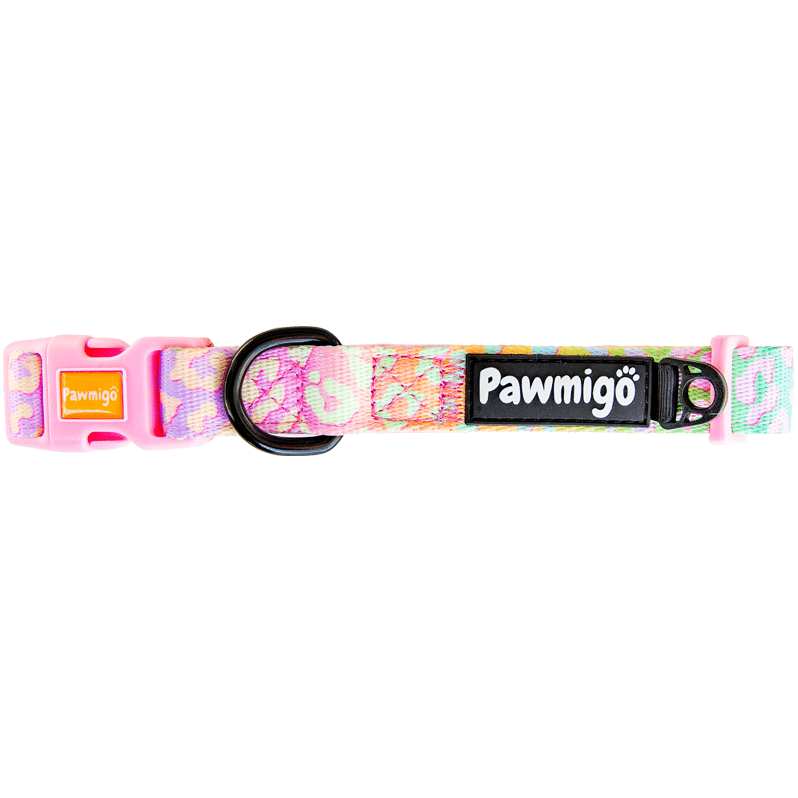 Slumber Pawty Classic Collar - Dog Harnesses - Pawmigo