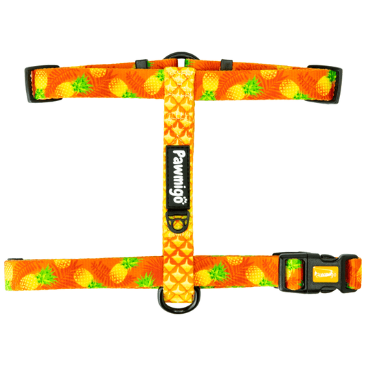 Snack Shack Free - Fit Harness - Free - Fit Harness - Pawmigo