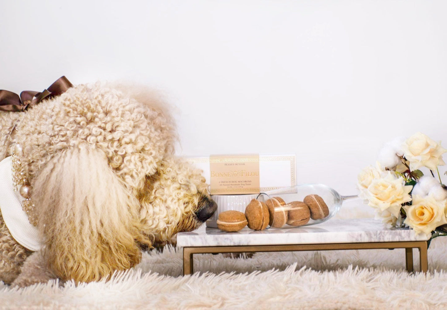 Bonne et Filou Dog Macarons (Box of 6)