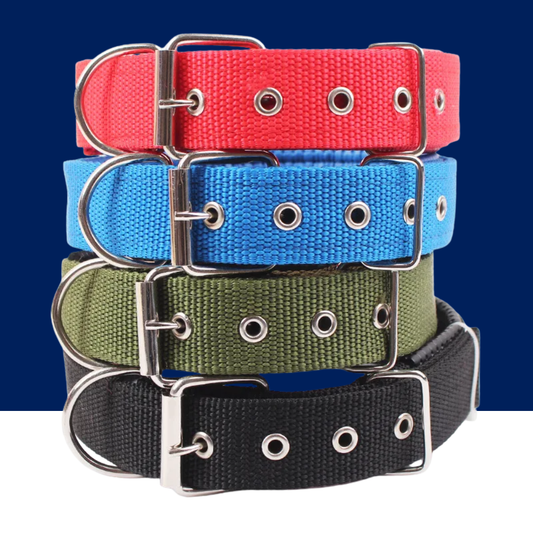 Solid Nylon Dog Collar – Strong & Durable for All Dog Sizes
