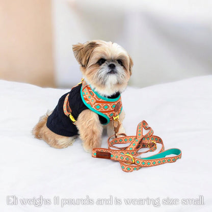 Southwest Spirit Harness