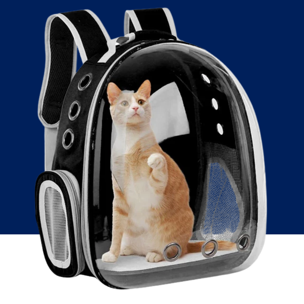 Dog Cat Space Capsule Travel Backpack Carrier