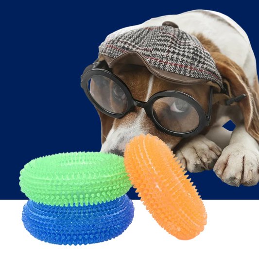 Squeaky Dog Chew Toys – Best Super Chewer Chewing Toy for Pets