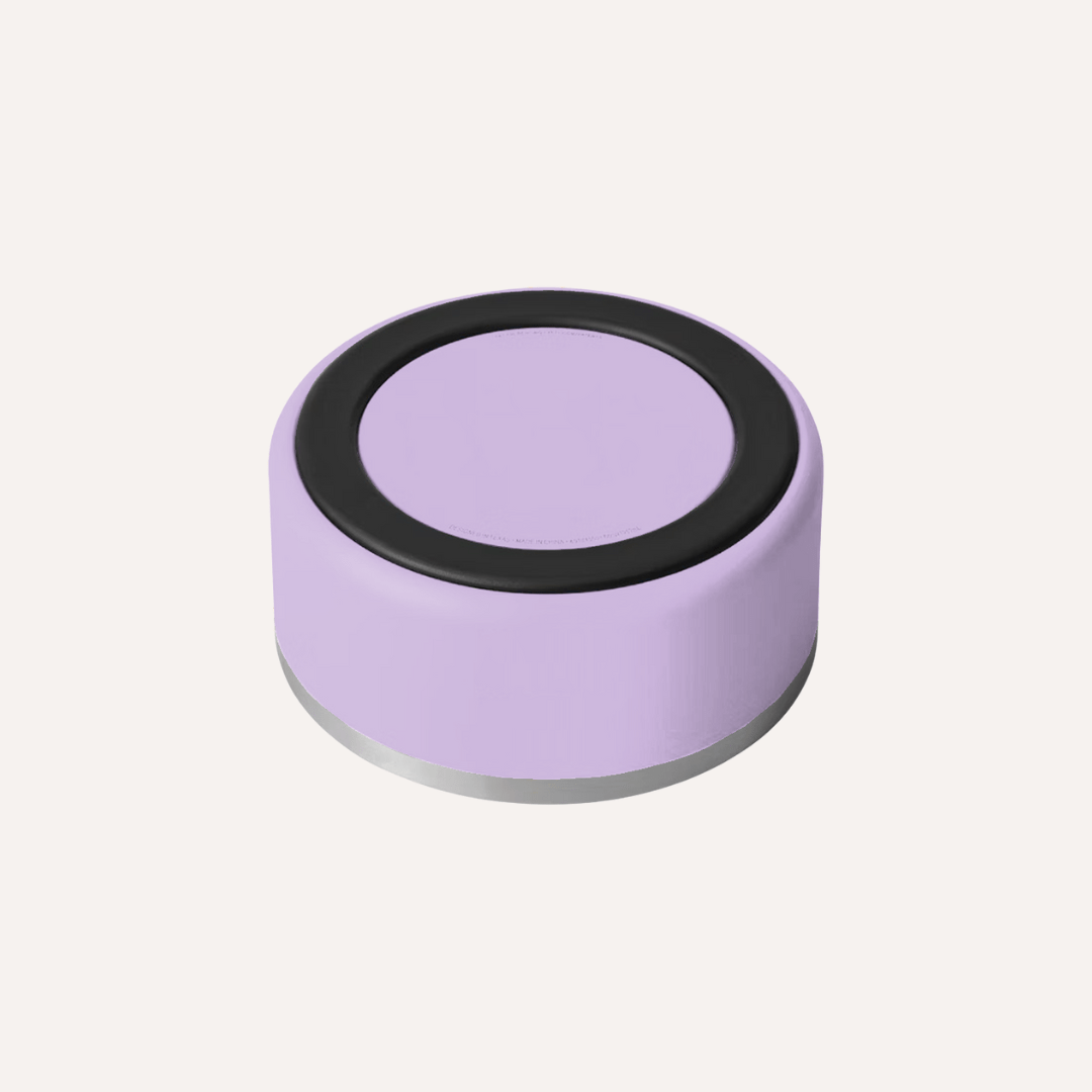 Stainless Steel Pet Bowl – Non-Slip, Durable & Dishwasher Safe | 32oz and 64oz - Purrfect Pet Kingdom