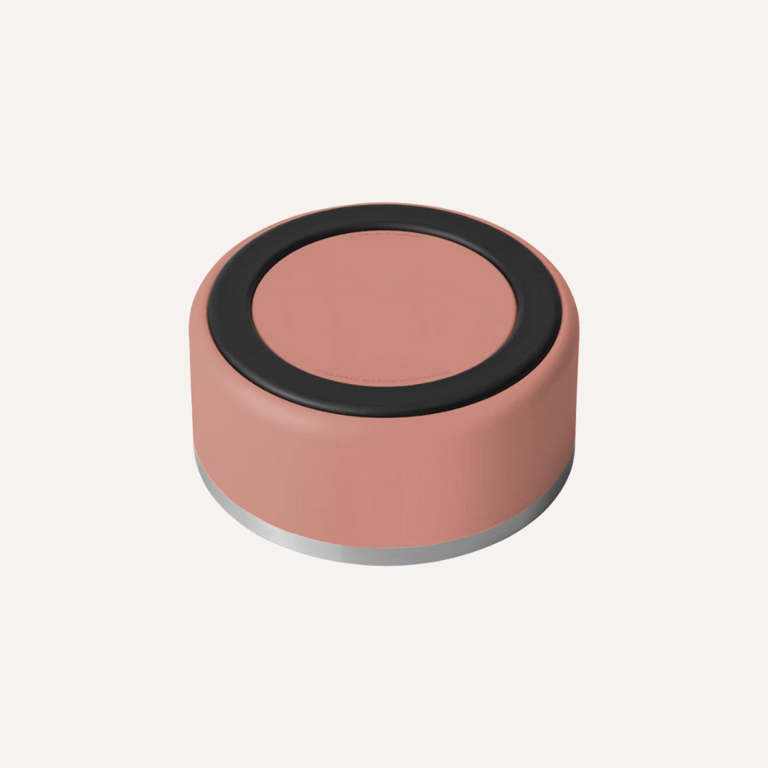 Stainless Steel Pet Bowl – Non-Slip, Durable & Dishwasher Safe | 32oz and 64oz - Purrfect Pet Kingdom