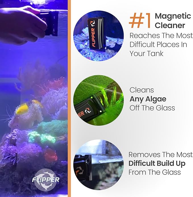 Scraper Blades – Flipper Standard Stainless Steel Refill