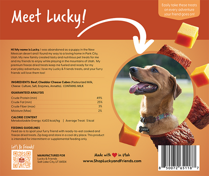 Lucky & Friends Steak & Cheese Dog Treat - Lucky & Friends