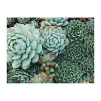 Succulent Garden Double-Sided 500 Piece Jigsaw Puzzle Galison