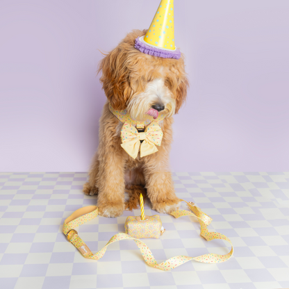 Soft Neoprene Cookie Step-In Dog Harness for Small Puppies