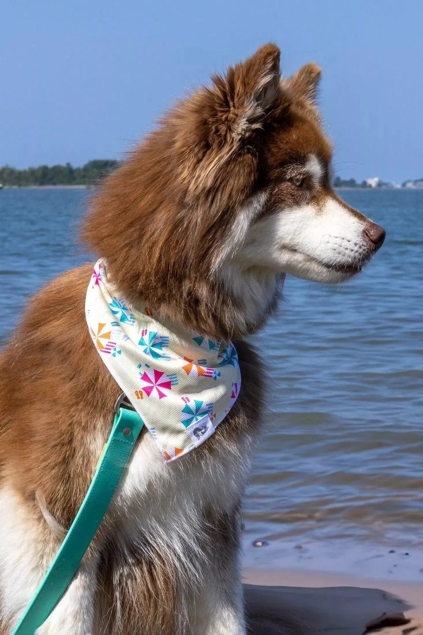 Sun & Shade Dog Bandana & Matching Keychain - Purrfect Pet Kingdom