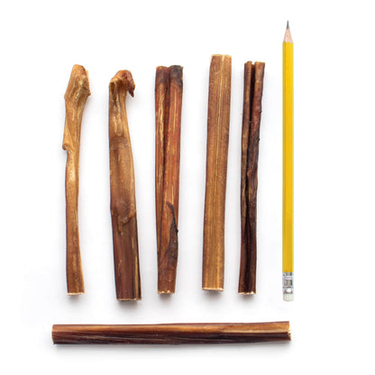 Dog Chews Bully Sticks 6 Inch Junior 15 Pack 🦴