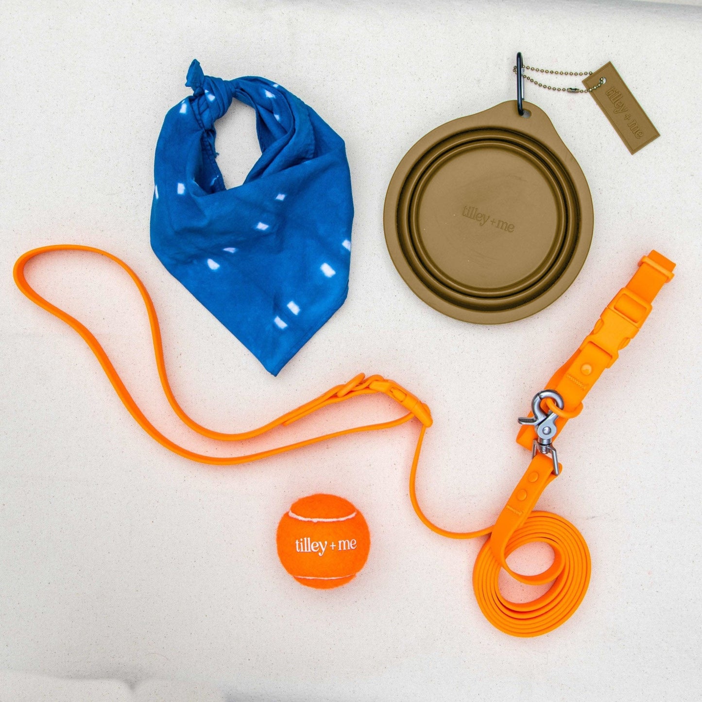 Collapsible Pet Bowl with Clip – Compact, Reusable and Easy to Clean - Purrfect Pet Kingdom