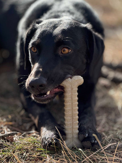 Black dog chewing a tan, ribbed SodaPup Tough Bone nylon toy. Durable textured dog bone for aggressive chewers.
