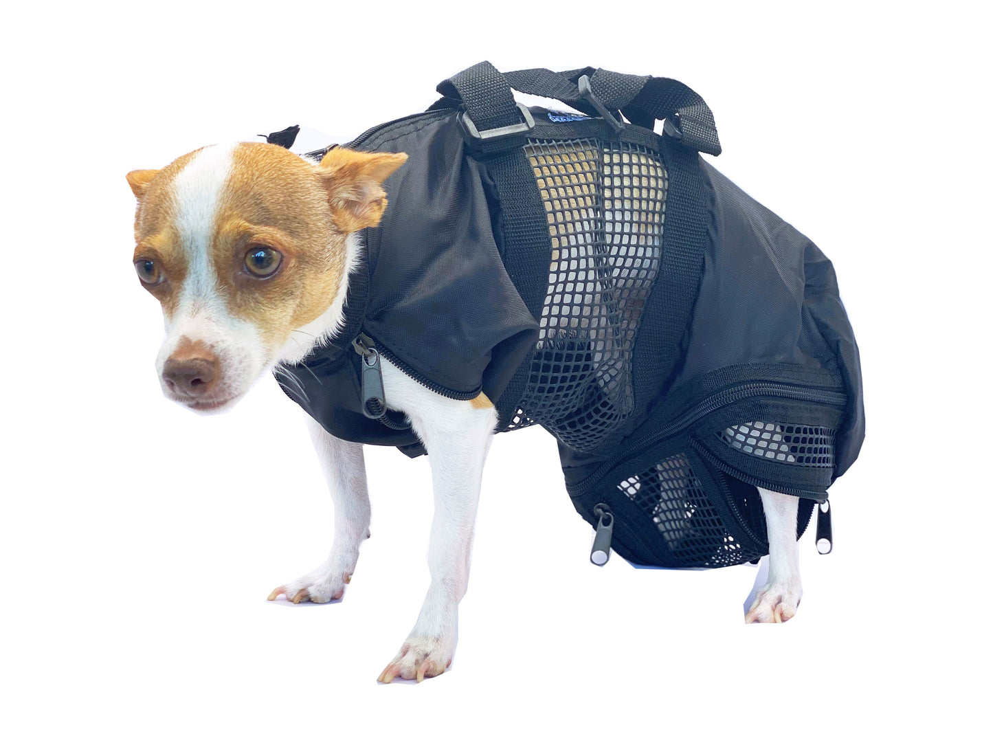 CAT/SMALL DOG GROOMING BAG - Pet Grooming - ReNewedPet - ONE SIZE FITS MOST - sku - 32396162957348