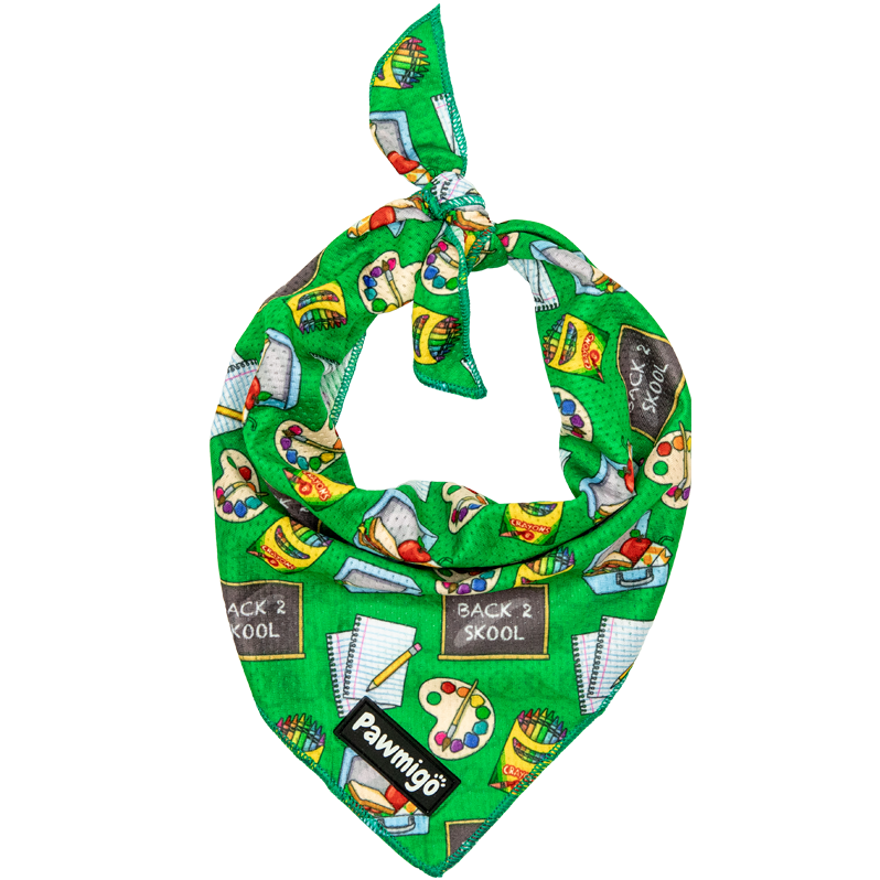 Teacher's Pet Cooling Bandana - Dog Bandana - Pawmigo