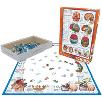 The Brain 1000 Piece Jigsaw Puzzle Eurographics