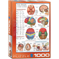The Brain 1000 Piece Jigsaw Puzzle Eurographics