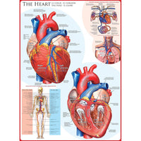 The Heart 1000 Piece Jigsaw Puzzle Eurographics