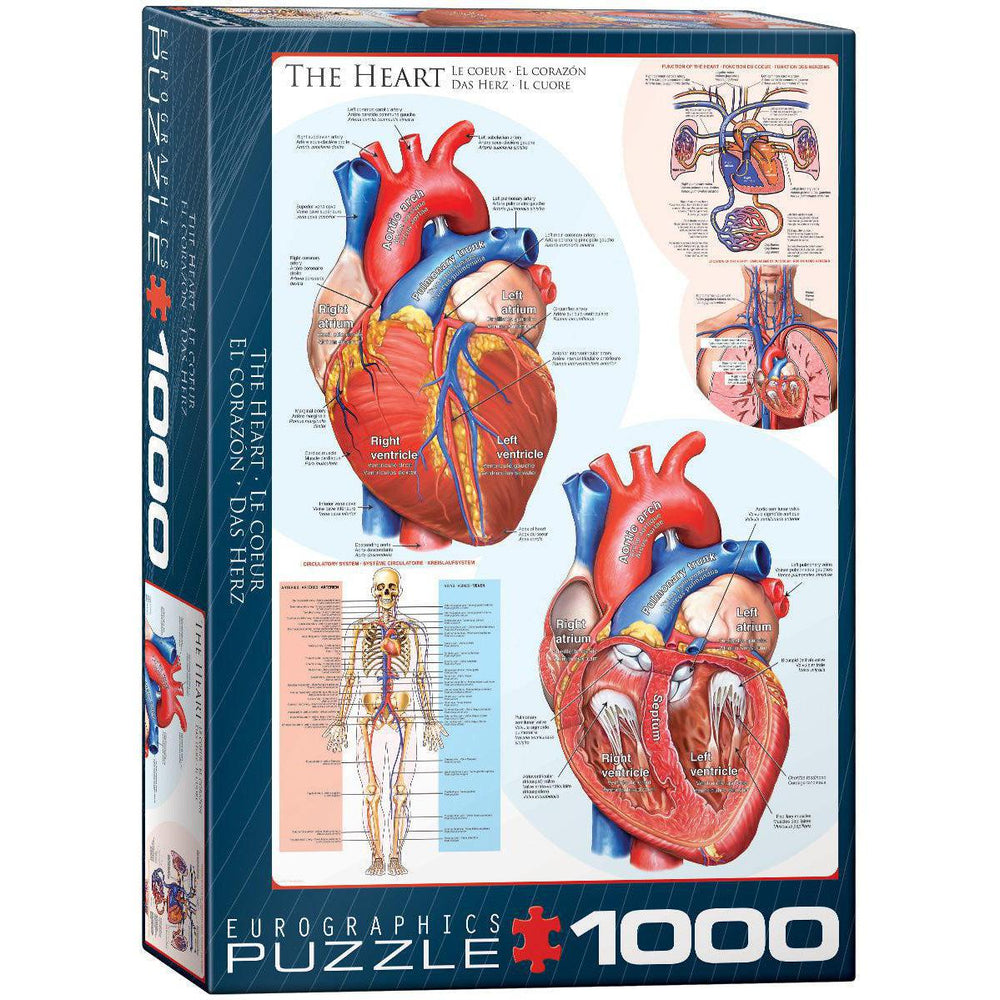 The Heart 1000 Piece Jigsaw Puzzle Eurographics