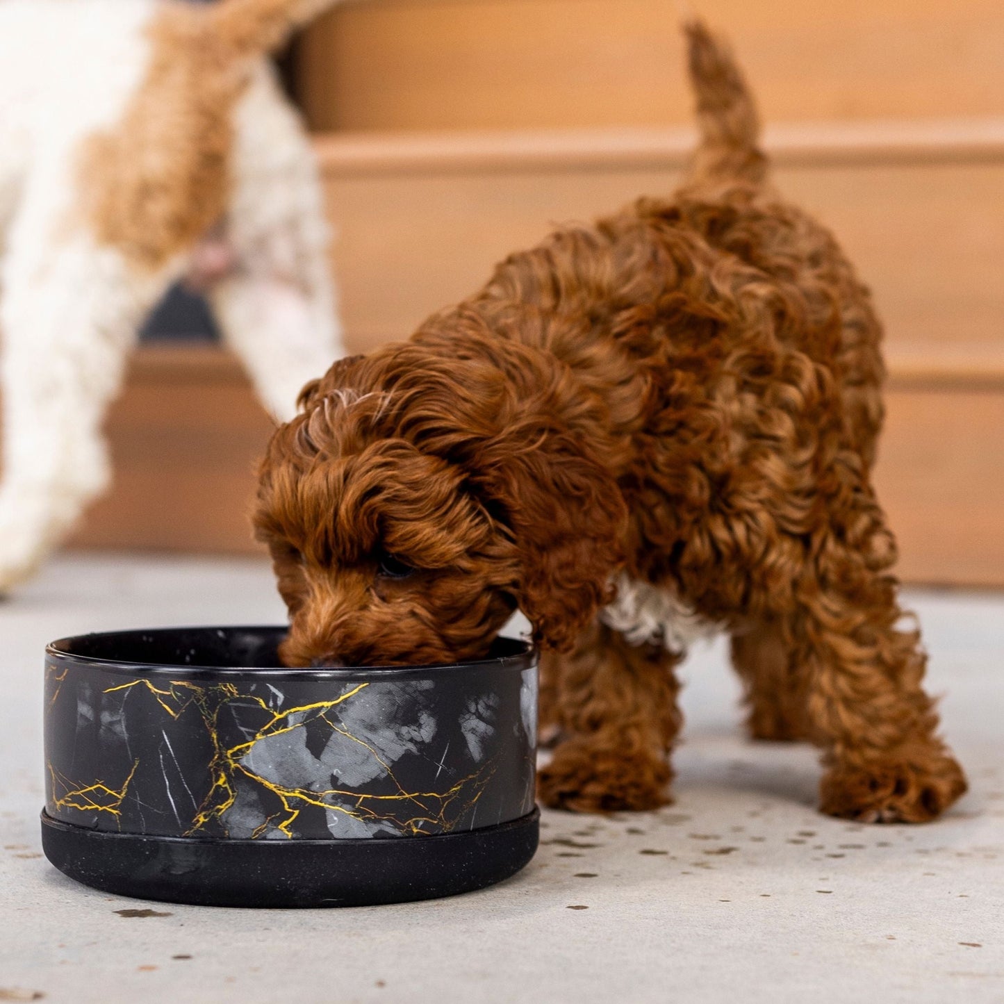 Limited Edition Ceramic Bowl - Dog Bowls & Feeders - Wasatch Pup