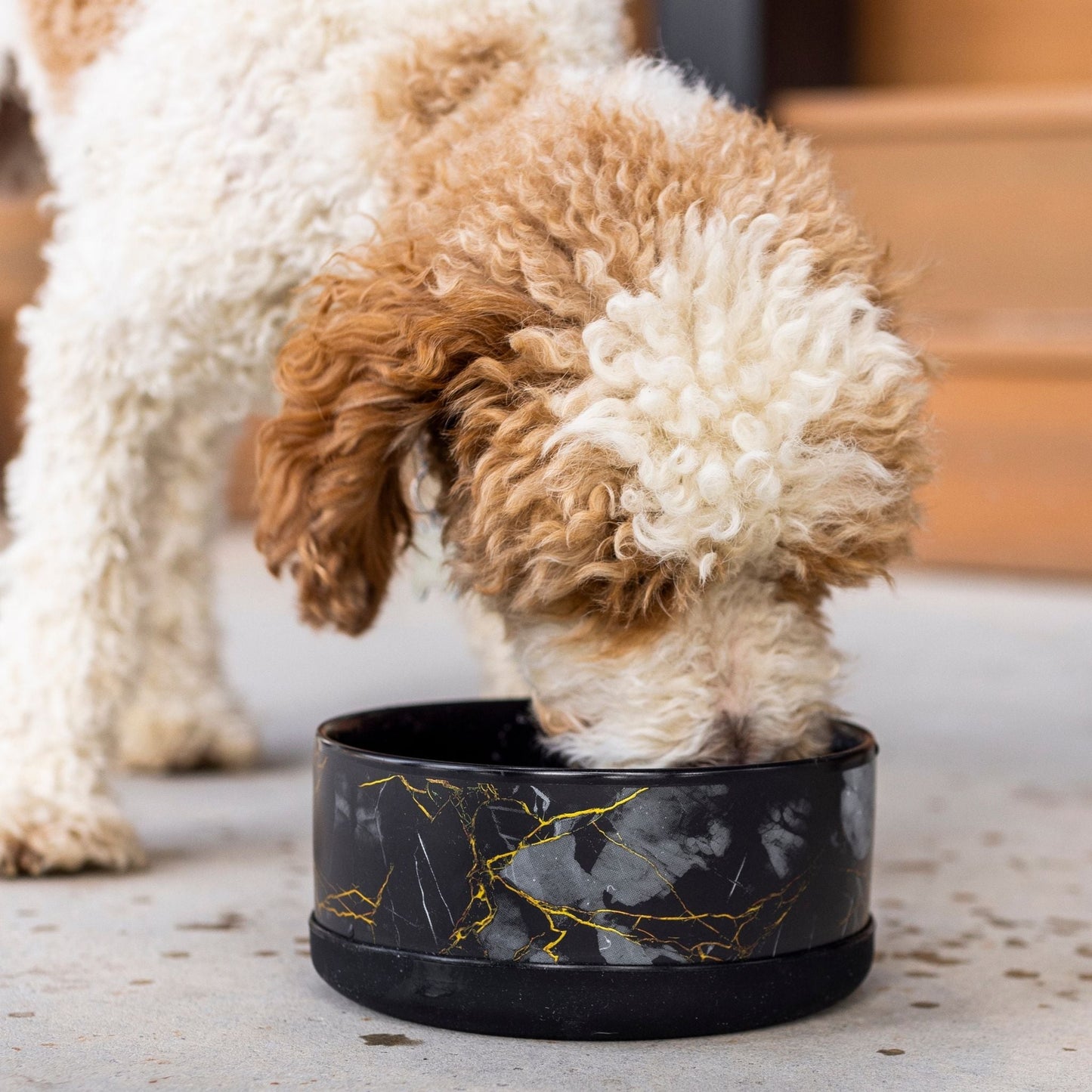 Limited Edition Ceramic Bowl - Dog Bowls & Feeders - Wasatch Pup