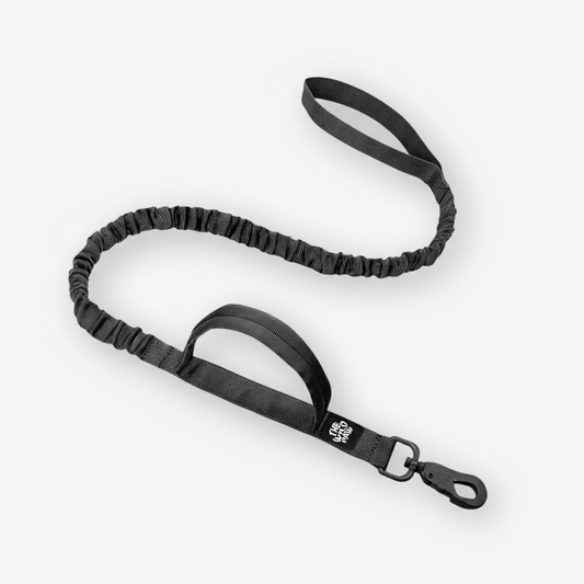 Rover Tactical Leash