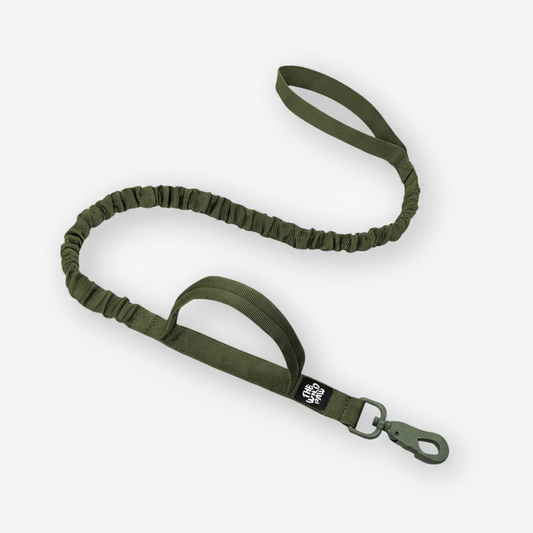 Rover Tactical Leash