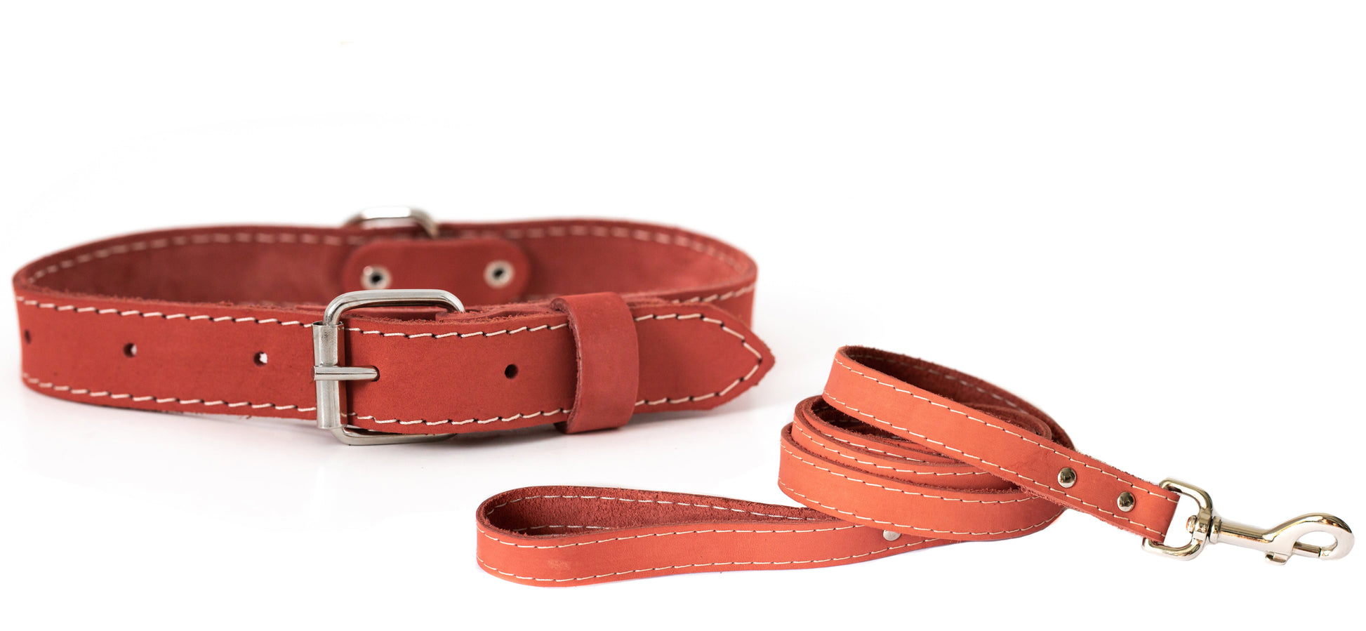 Dog Collar Pro Line Hunting Leather Collar and Leash Set - lifestyle product image for dog collar