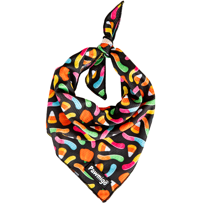 Trick N Treat Cooling Bandana - Dog Bandana - Pawmigo