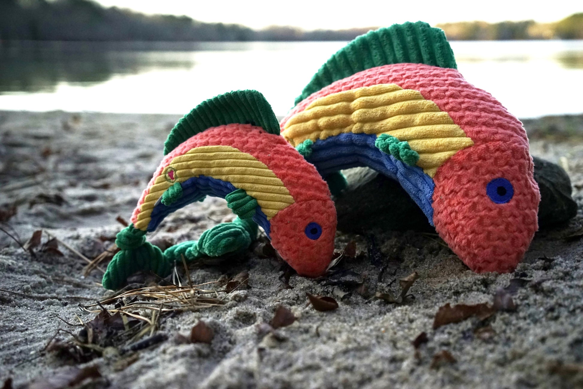 Dog Toy Raucous Rainbow Trout Knottie Plush Toy for Comfort - gallery product image for dog toy