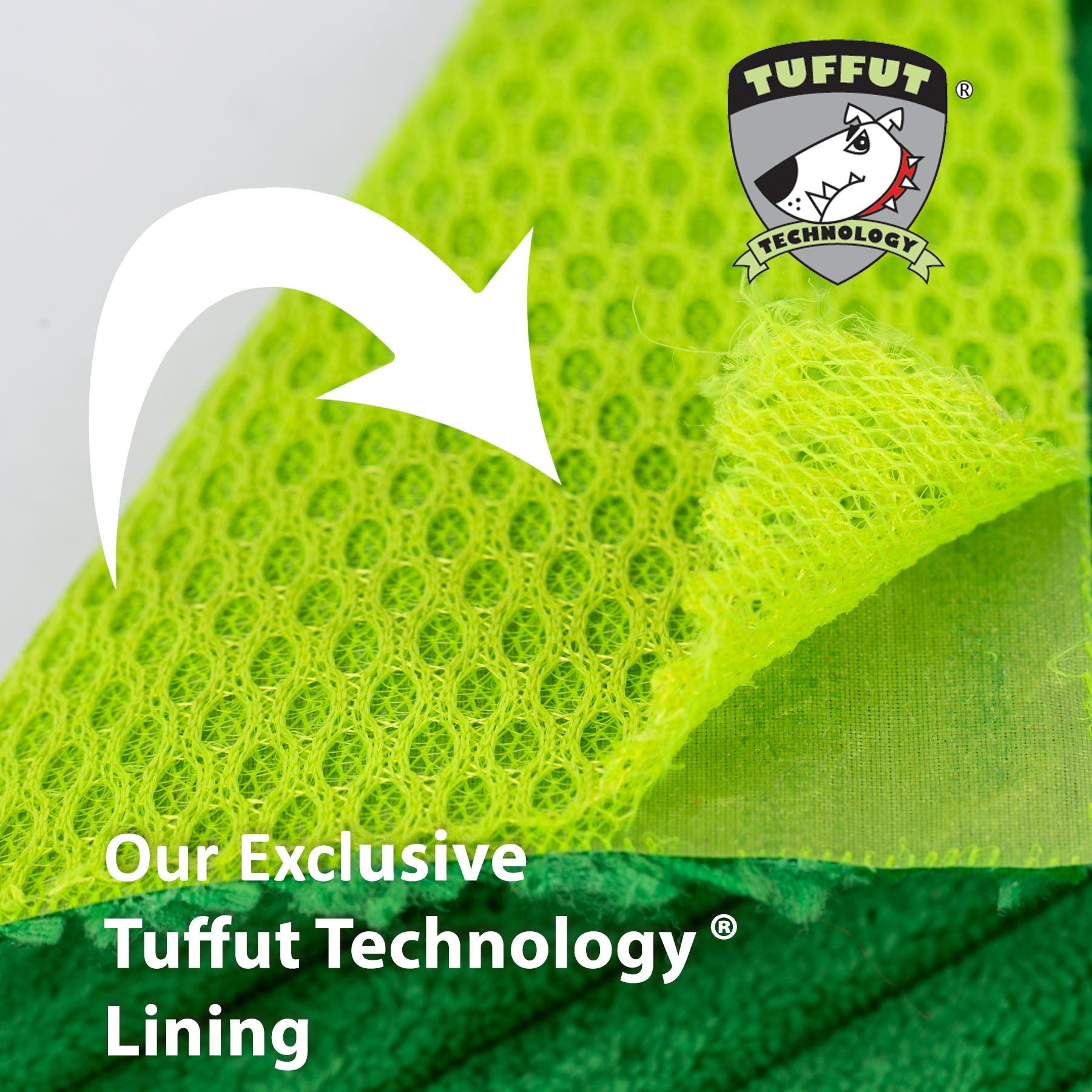 Dog Toy Fergie Frog Knottie Plush Toy for Daily Use Essentia - gallery product image for dog toy