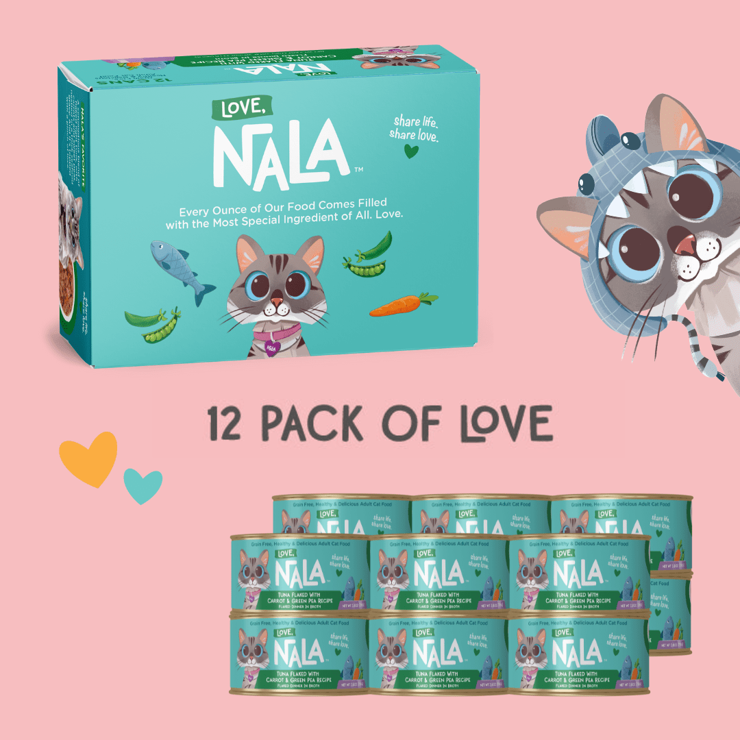 Teal 12-pack box and cans of Love, Nala Tuna Flaked with Carrot & Green Pea wet cat food on a pink background.