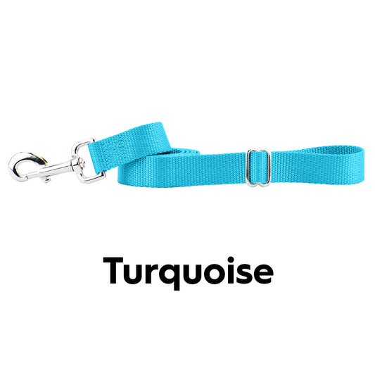 Turquoise Nylon Dog Leash