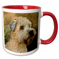 3dRose Dogs Soft Coated Wheaten Terrier - Soft Coated Wheaten Terrier Portrait - Mugs (mug_4808)