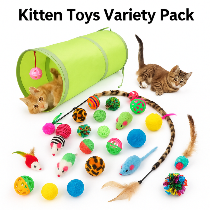 Kitten Toys Variety Pack – Interactive Play Set for Curious Cats - WTN Essentials