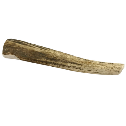Large Whole Elk Antler Dog Chew 8 Oz 🦌