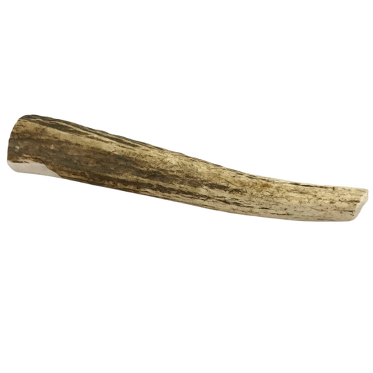 Large Whole Elk Antler Dog Chew 8 Oz 🦌